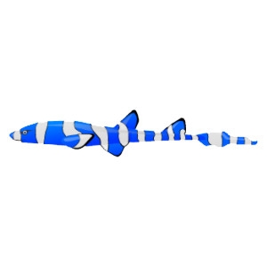 Blue Clownfish Cat Shark